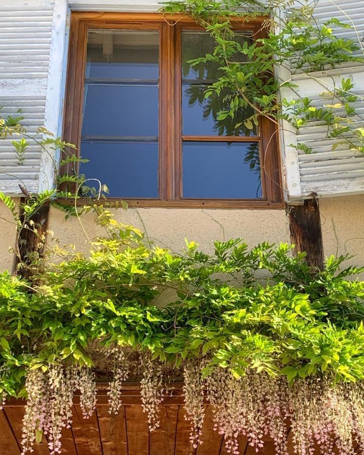 La Ferme Du Puy D'Or Appartement Limonest Buitenkant foto